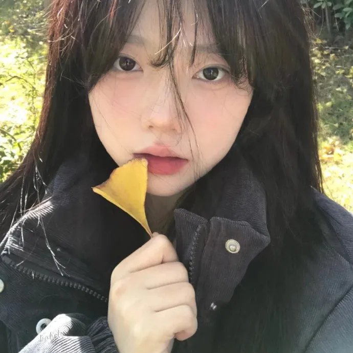 高山下的花环